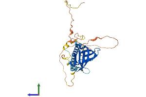 AlphaFold protein structure predicition of Human Recombinant LDLRAP1 Protein, UniprotID Q5SW96