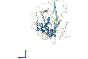 AlphaFold protein structure predicition of Mouse Recombinant Ppfia2 Protein, UniprotID Q8BSS9