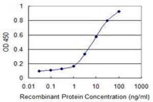 Detection limit for recombinant GST tagged MLKL is 0. (MLKL antibody  (AA 371-471))