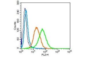 Human U937 cells probed with CD101 Polyclonal Antibody, Unconjugated  (green) at 1:100 for 30 minutes followed by a PE conjugated secondary antibody compared to unstained cells (blue), secondary only (light blue), and isotype control (orange). (CD101 antibody  (AA 51-150))