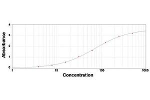 ELISA analysis of C4A polyclonal antibody  under 2 ug/mL working concentration. (Complement C4 antibody)
