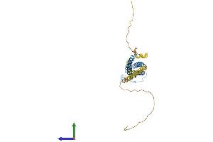 AlphaFold protein structure predicition of Human Recombinant MS4A1 Protein, UniprotID P11836 (CD20 Protein (AA 1-297) (His tag))