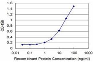 Detection limit for recombinant GST tagged MEF2A is approximately 1ng/ml as a capture antibody. (MEF2A antibody  (AA 71-170))