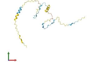 AlphaFold protein structure predicition of Human Recombinant PPP1R17 Protein, UniprotID O96001