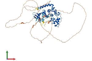 AlphaFold protein structure predicition of Mouse Recombinant Cdkl3 Protein, UniprotID Q8BLF2