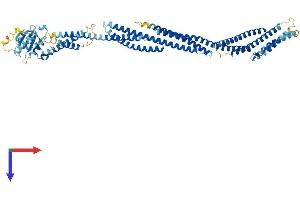 SESTD1 Protein (AA 1-696) (His tag)