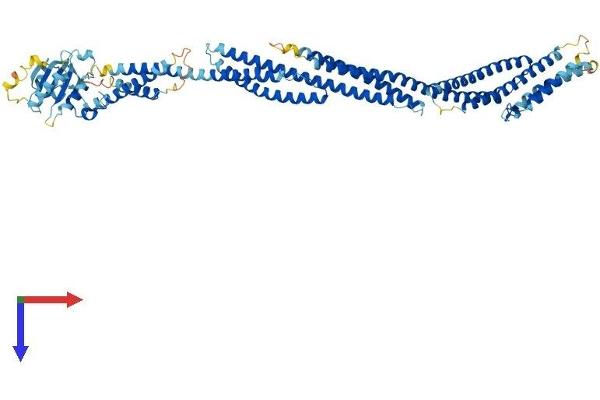 SESTD1 Protein (AA 1-696) (His tag)