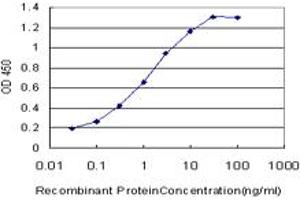 Detection limit for recombinant GST tagged LHX4 is approximately 0. (LHX4 antibody  (AA 208-306))