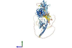 Protein Structure (PS) image for Thioredoxin Domain Containing 11 (TXNDC11) (AA 1-985) protein (His tag) (ABIN7555902)