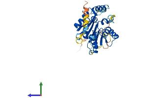 AlphaFold protein structure predicition of Human Recombinant BCDIN3D Protein, UniprotID Q7Z5W3 (BCDIN3D Protein (AA 1-292) (His tag))