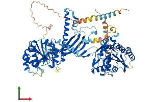 AlphaFold protein structure predicition of Human Recombinant CHSY1 Protein, UniprotID Q86X52