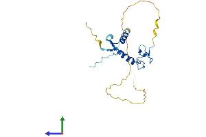 AlphaFold protein structure predicition of Human Recombinant ZFAND5 Protein, UniprotID O76080 (ZFAND5 Protein (AA 1-213) (His tag))