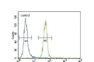 Flow Cytometry (FACS) image for anti-FYN Oncogene Related To SRC, FGR, YES (FYN) (AA 13-43), (N-Term) antibody (ABIN392098)