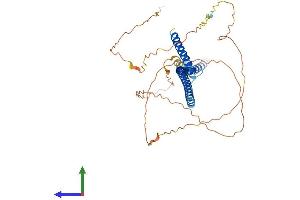 AlphaFold protein structure predicition of Human Recombinant CENPU Protein, UniprotID Q71F23 (MLF1IP Protein (AA 1-418) (His tag))