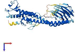 Protein Structure (PS) image for Tripartite Motif Containing 49 (TRIM49) (AA 1-452) protein (His tag) (ABIN7544589)