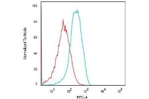 Flow Cytometric Analysis of Human HEK293 cells using KSP-Cadherin Recombinant Rabbit Monoclonal Antibody (CDH16/1532R) followed by Goat anti-rabbit IgG-CF488 (Blue); Isotype Control (Red). (Recombinant Cadherin-16 antibody)
