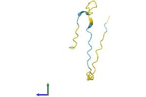 Protein Structure (PS) image for Chromosome 5 Open Reading Frame 13 (C5orf13) (AA 1-68) protein (Fc Tag) (ABIN7549819)