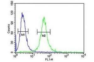 GATA2 antibody flow cytometric analysis of 293 cells (green) compared to a negative control (blue). (GATA2 antibody  (AA 262-288))