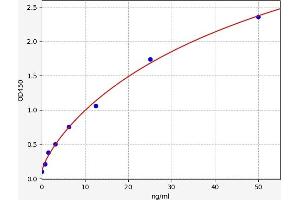 Typical standard curve (TIMP2 ELISA Kit)