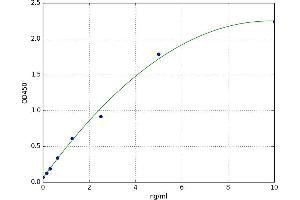 Chitinase, Acidic (CHIA) ELISA Kit