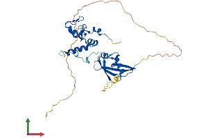 AlphaFold protein structure predicition of Mouse Recombinant Bmi1 Protein, UniprotID P25916