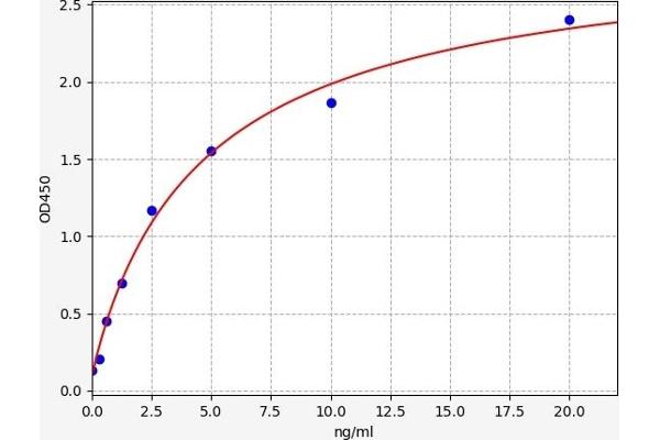 ERBB4 ELISA Kit