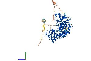 Protein Structure (PS) image for Heparan Sulfate 3-O-Sulfotransferase 2 (HS3ST2) (AA 1-367) protein (His tag) (ABIN7557873)