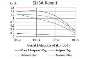 Black line: Control Antigen (100 ng), Purple line: Antigen(10 ng), Blue line: Antigen (50 ng), Red line: Antigen (100 ng), (PRKAG1 antibody  (AA 230-331))