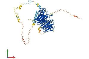 Protein Structure (PS) image for PWP1 Homolog (PWP1) (AA 1-501) protein (His tag) (ABIN7560378)