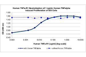 SDS-PAGE (SDS) image for Tumor Necrosis Factor Receptor Superfamily, Member 1A (TNFRSF1A) protein (ABIN6700712)