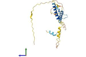 Protein Structure (PS) image for Heart and Neural Crest Derivatives Expressed 1 (HAND1) (AA 1-215) protein (His tag) (ABIN7548236)