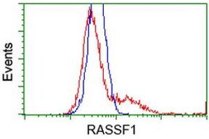 HEK293T cells transfected with either RC213525 overexpress plasmid (Red) or empty vector control plasmid (Blue) were immunostained by anti-RASSF1 antibody (ABIN2454272), and then analyzed by flow cytometry. (RASSF1 antibody)
