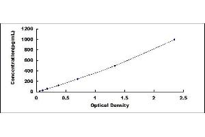 Typical standard curve (VEGFB ELISA Kit)