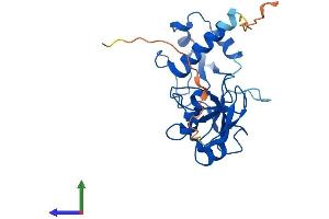 AlphaFold protein structure predicition of Mouse Recombinant Trpt1 Protein, UniprotID Q8K3A2 (TRPT1 Protein (AA 1-249) (His tag))