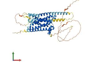 AlphaFold protein structure predicition of Mouse Recombinant Drd1 Protein, UniprotID Q61616 (Dopamine Receptor d1 Protein (AA 1-446) (His tag))