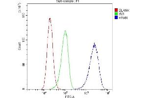 anti-Poly A Specific Ribonuclease (PARN) (AA 1-301) antibody