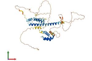 AlphaFold protein structure predicition of Mouse Recombinant Pknox1 Protein, UniprotID O70477