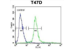 Flow Cytometry (FACS) image for anti-Potassium Channel Tetramerisation Domain Containing 12 (KCTD12) antibody (ABIN3004107) (KCTD12 antibody)