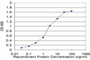 Detection limit for recombinant GST tagged ASNA1 is approximately 0. (ASNA1 antibody  (AA 239-348))