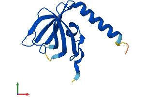 AlphaFold protein structure predicition of Human Recombinant TEN1 Protein, UniprotID Q86WV5 (TEN1 Protein (AA 1-123) (His tag))