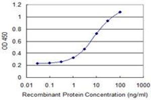 Detection limit for recombinant GST tagged ZNF266 is 0. (ZNF266 antibody  (AA 274-346))