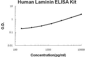 Human Laminin Accusignal ELISA Kit Human Laminin AccuSignal ELISA Kit Standard curve.