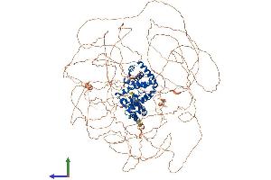 AlphaFold protein structure predicition of Human Recombinant CCNB3 Protein, UniprotID Q8WWL7 (Cyclin B3 Protein (CCNB3) (AA 1-1395) (His tag))