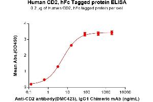 CD2 (CD2) (AA 25-209) protein (Fc Tag)
