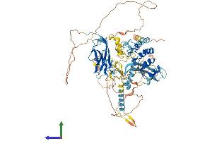AlphaFold protein structure predicition of Mouse Recombinant Dzank1 Protein, UniprotID Q8C008