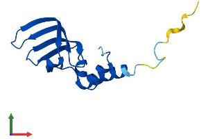 AlphaFold protein structure predicition of Mouse Recombinant Lsm10 Protein, UniprotID Q8QZX5 (LSM10 Protein (AA 1-122) (His tag))
