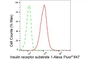 Flow cytometric analysis of Insulin receptor substrate 1 expression in HT- cells using Insulin receptor substrate 1 antibody (ABIN7799046), 1:2,000). (Recombinant IRS1 antibody)