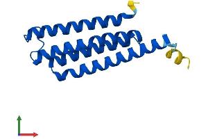 AlphaFold protein structure predicition of Human Recombinant MGST2 Protein, UniprotID Q99735 (MGST2 Protein (AA 1-147) (His tag))