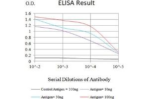 Black line: Control Antigen (100 ng),Purple line: Antigen (10 ng), Blue line: Antigen (50 ng), Red line:Antigen (100 ng) (GZMB antibody  (AA 21-247))