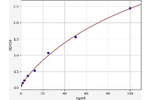 Typical standard curve (Fibrinogen beta Chain ELISA Kit)